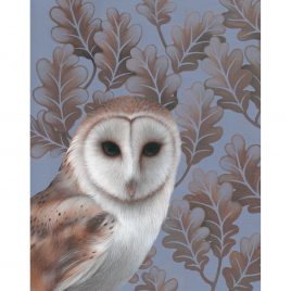 2935C Barn Owl – Louise Crabb