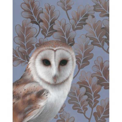 2935C Barn Owl - Louise Crabb