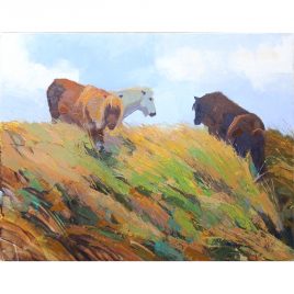 3120C Shetland Ponies – Neville Cox