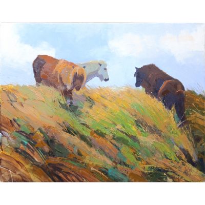 3120C Shetland Ponies - Neville Cox