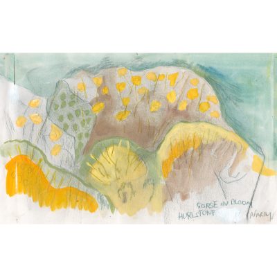 3104C Gorse in Bloom over Hurlstone - Ann Farley