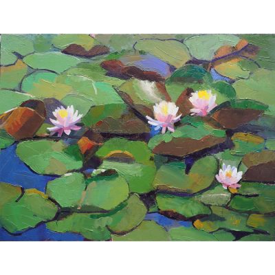 3128C Waterlilies at Bonython I - Neville Cox