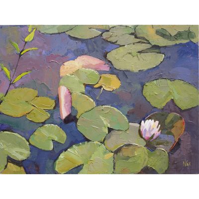 3127C Waterlilies at Bonython II - Neville Cox