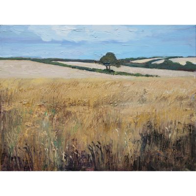 3126C Harvest Time - Neville Cox