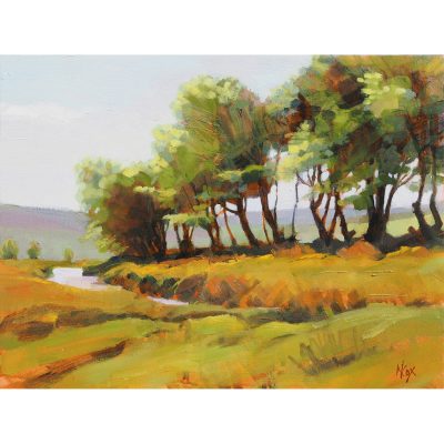 3125C Exmoor Spring - Neville Cox