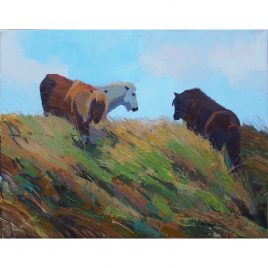 3120C Shetland Ponies – Neville Cox
