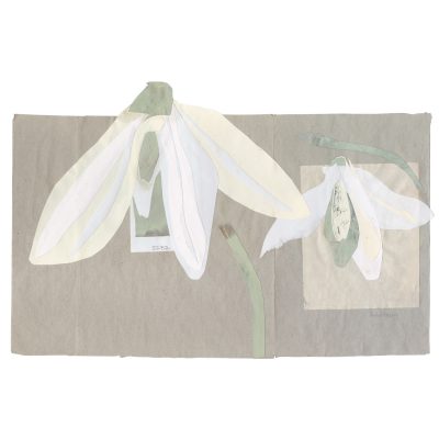 3096C Snowdrops - Ann Farley