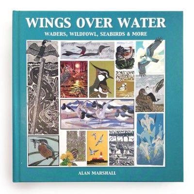 Wings Over Water - Waders, Wildfowl, Seabirds & More