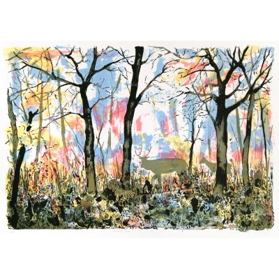 3081C Woodland Scene - Tim Southall