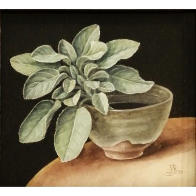 3221C Bowl with Sage - Jenny Barron