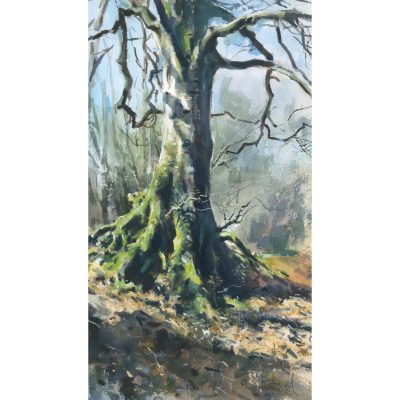 3694C Sentinel - Jonathan Walker