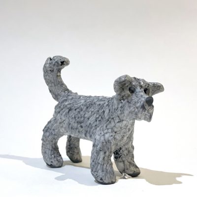 3741C Tricky - Rough Terrier - Josse Davis