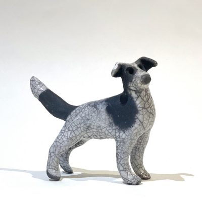 3742C Boz - Jack Russell Cross - Josse Davis