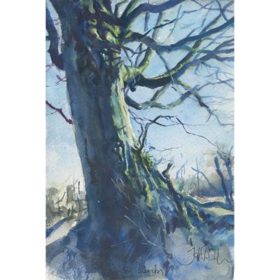 3696C Limbs - Jonathan Walker