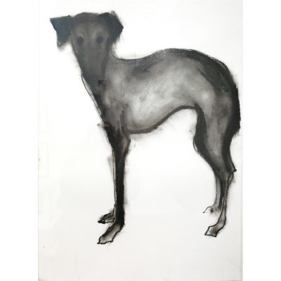 2993C Who Me? - Sally Muir