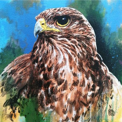 3970C Buzzard Study II - Jim Starr