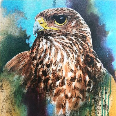 3971C Buzzard Study III - Jim Starr