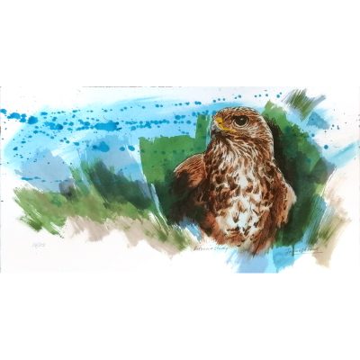 3974C Buzzard Study 14/25 - Jim Starr