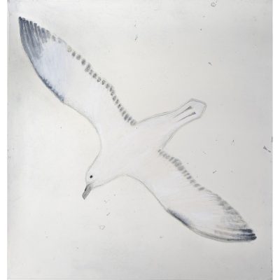 3808C Fulmar AP/30 - Kate Boxer