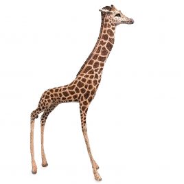 3902C Giraffe – Val George
