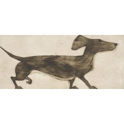 4202C Ziggy XVIII/XXX - Kate Boxer