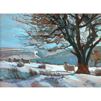 4285C Exmoor Sheep in Winter - Neville Cox