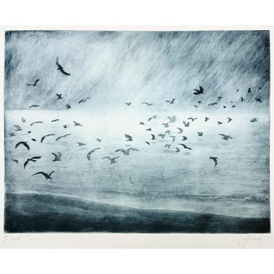 4291C Flight 17/25 - Ley Roberts