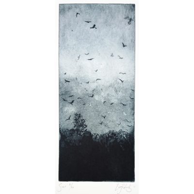 4288C Soar 3/30 - Ley Roberts