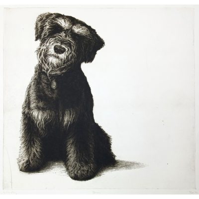 4316C Brian 3/75 - Helen Fay