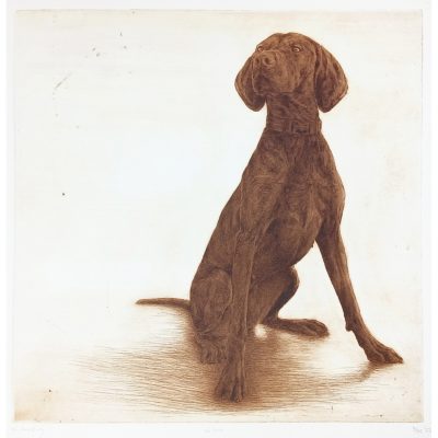 4319C Willow 3/75 - Helen Fay