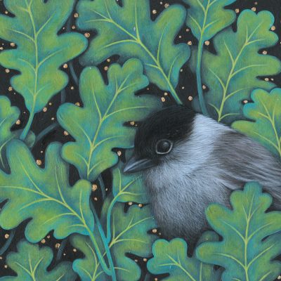 4572C Blackcap - Louise Crabb