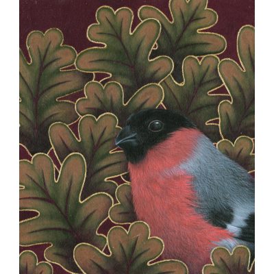 4571C Bullfinch - Louise Crabb