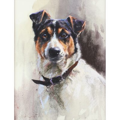 4480C Jack Russell - Mick Cawston