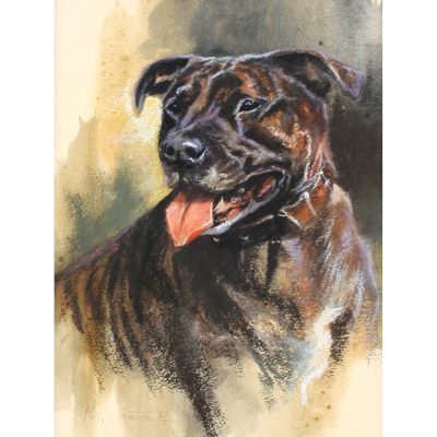 4482C Staffordshire Bull Terrier - Mick Cawston