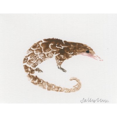 4514C Pangolin - Sally Muir