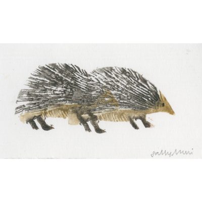 4516C Two Hedgehogs - Sally Muir