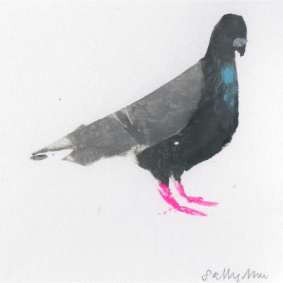 4523C Pigeon - Sally Muir