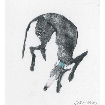 4527C Hound Snoozing - Sally Muir