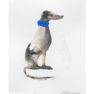 4533C Sitting, Tail Down,  with Blue Collar - Sally Muir
