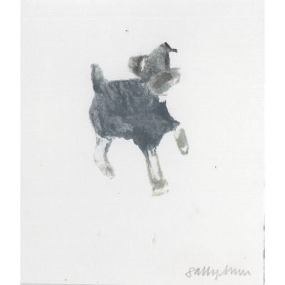 4537C The Little Grey, Paw Up - Sally Muir