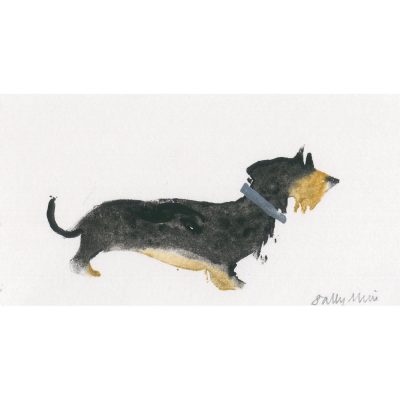 4539C Long Haired Sausage Dog - Sally Muir