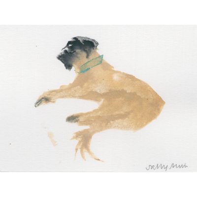 4540C Lying Down, Green Collar - Sally Muir