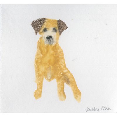 4541C Sitting, Alert Ears  - Sally Muir