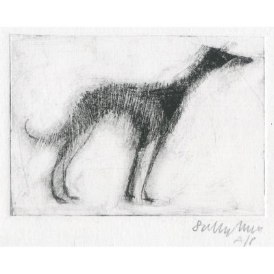 4543C Standing Hound AP - Sally Muir