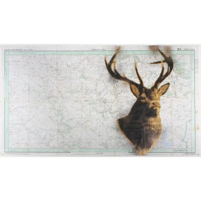 4568C Exford and Brendon Hills Stag - Jim Starr