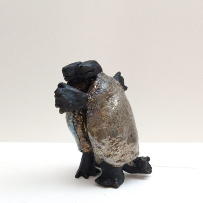 4644C Strictly Tortoises - Sue Calcutt