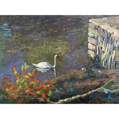 4658C Autumn Swan - Neville Cox