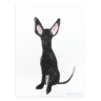 4703 Black Dog with Big Ears - Sally Muir