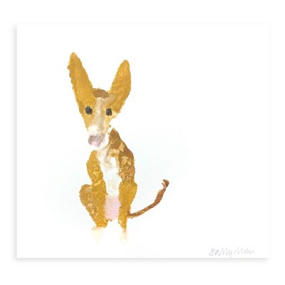 4708C Tan and White Dog with Big Ears - Sally Muir