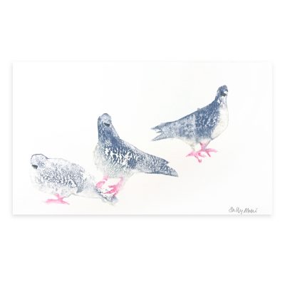 4713C Three Pigeons - Sally Muir